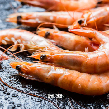 대하 효능