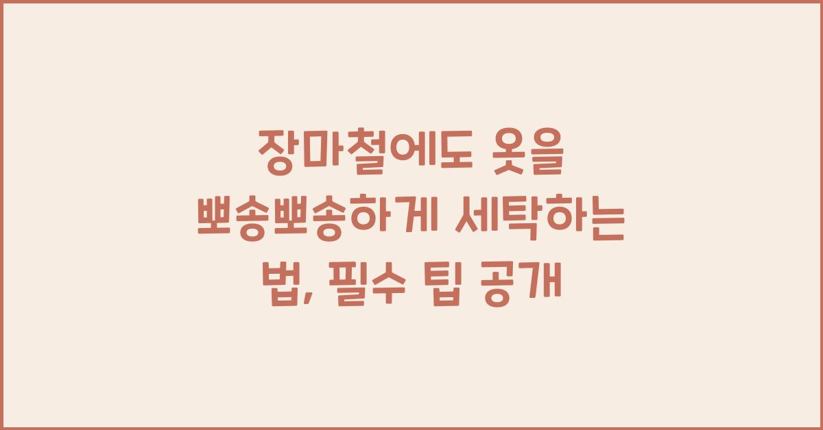 장마철에도 옷을 뽀송뽀송하게 세탁하는 법