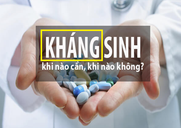 항생제 남용에 대한 이미지