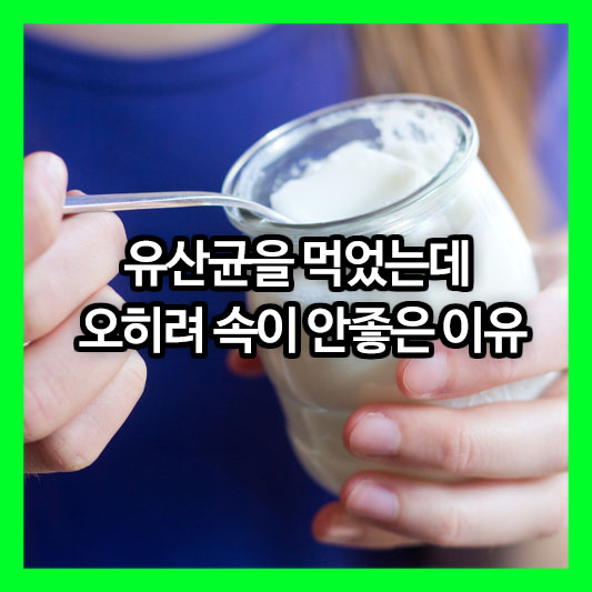 유산균 먹고 속이 안 좋은 이유?