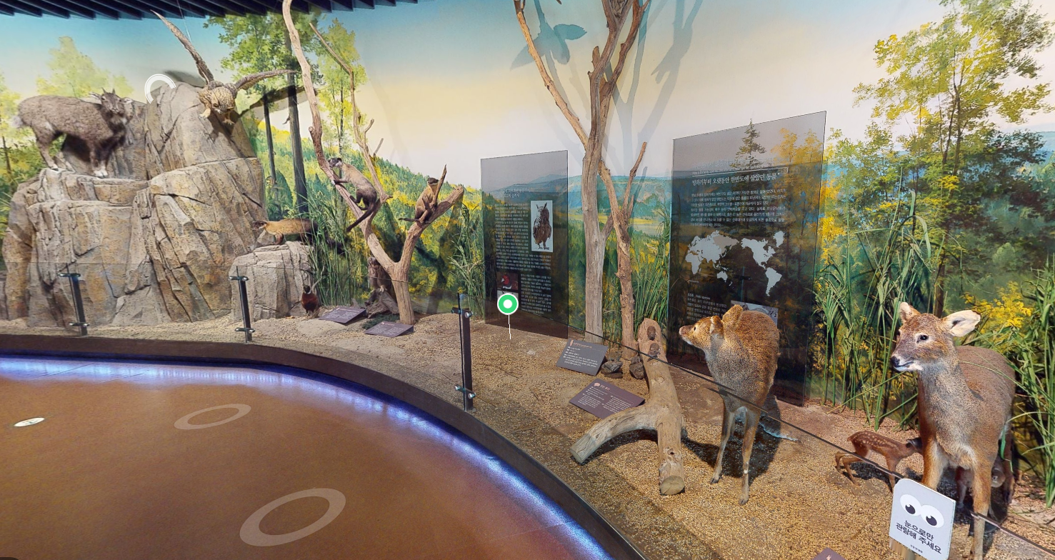 충남 서천 국립생태원: 실내 에코리움과 야외 전시, 백패커 방문