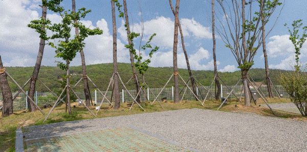 캠핑장-사이트전경