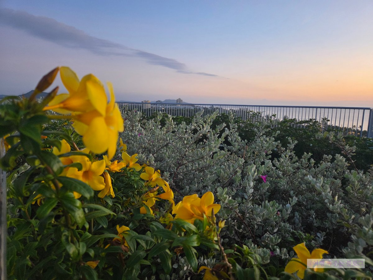 #푸꾸옥 베스트웨스턴