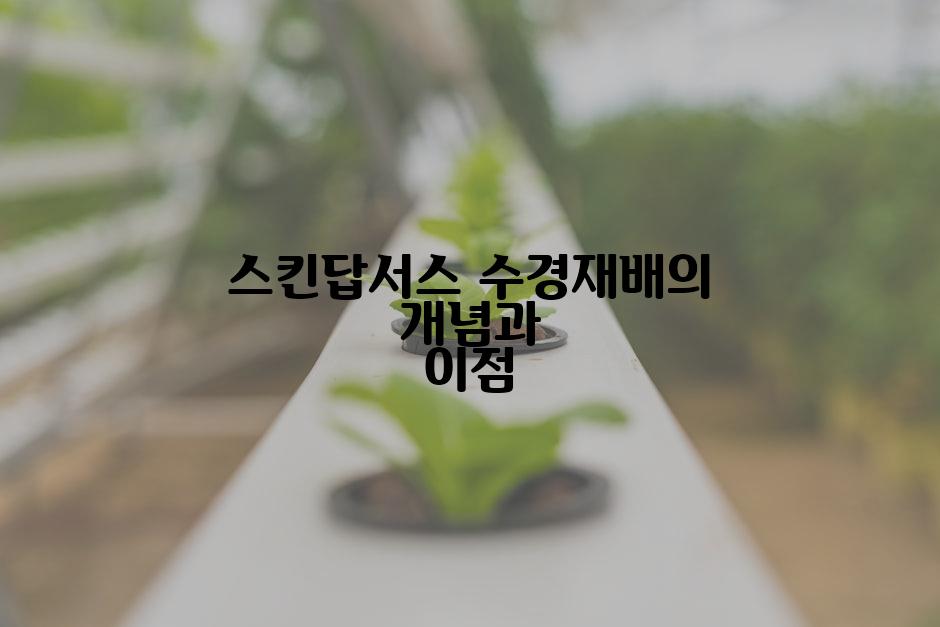 스킨답서스 수경재배의 개념과 이점