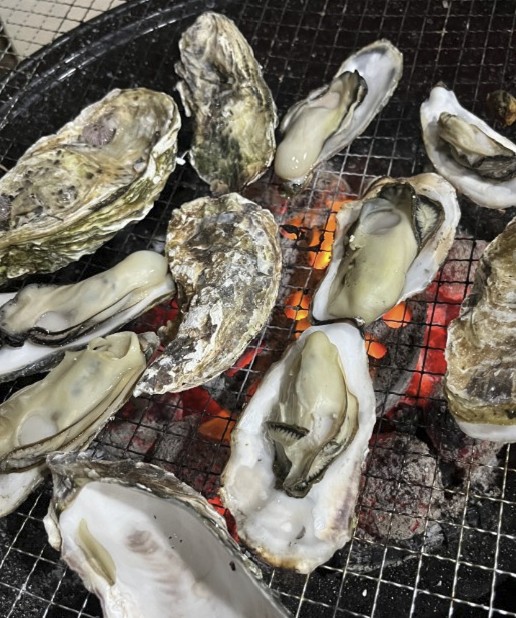 경남 사천 비토섬 굴구이 맛집 | 6시 내고향 나온 순애민박굴구이식당