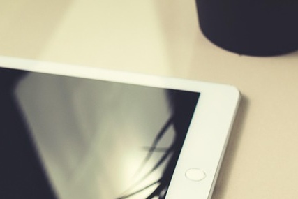 모의고사 성적표 조회