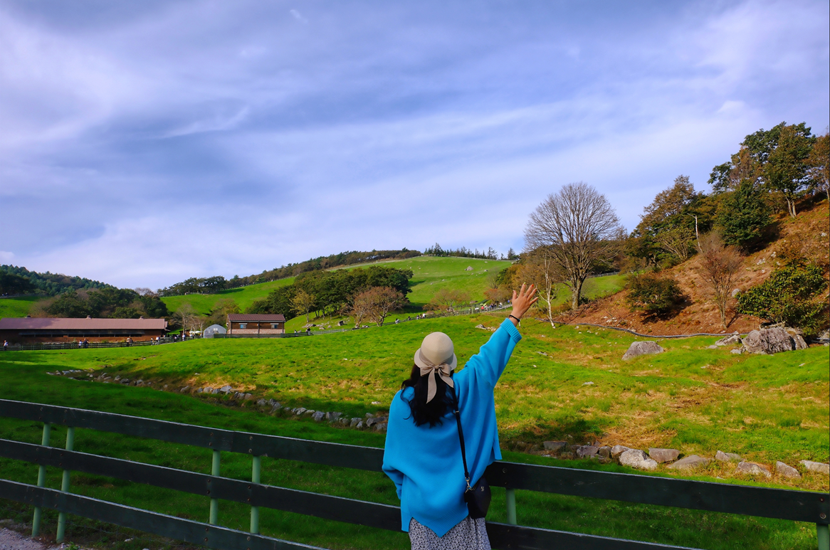 대관령 양떼 목장 입구 풍경