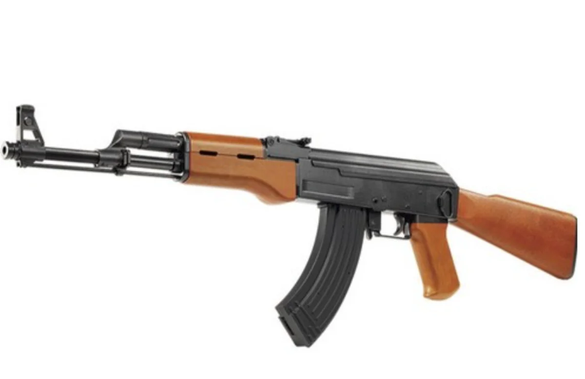 아카데미과학 - 프라모델