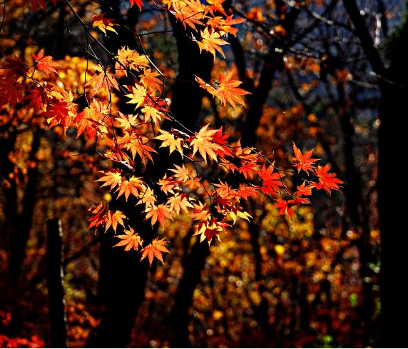 북한산-등산코스