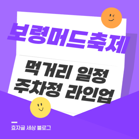 보령머드축제