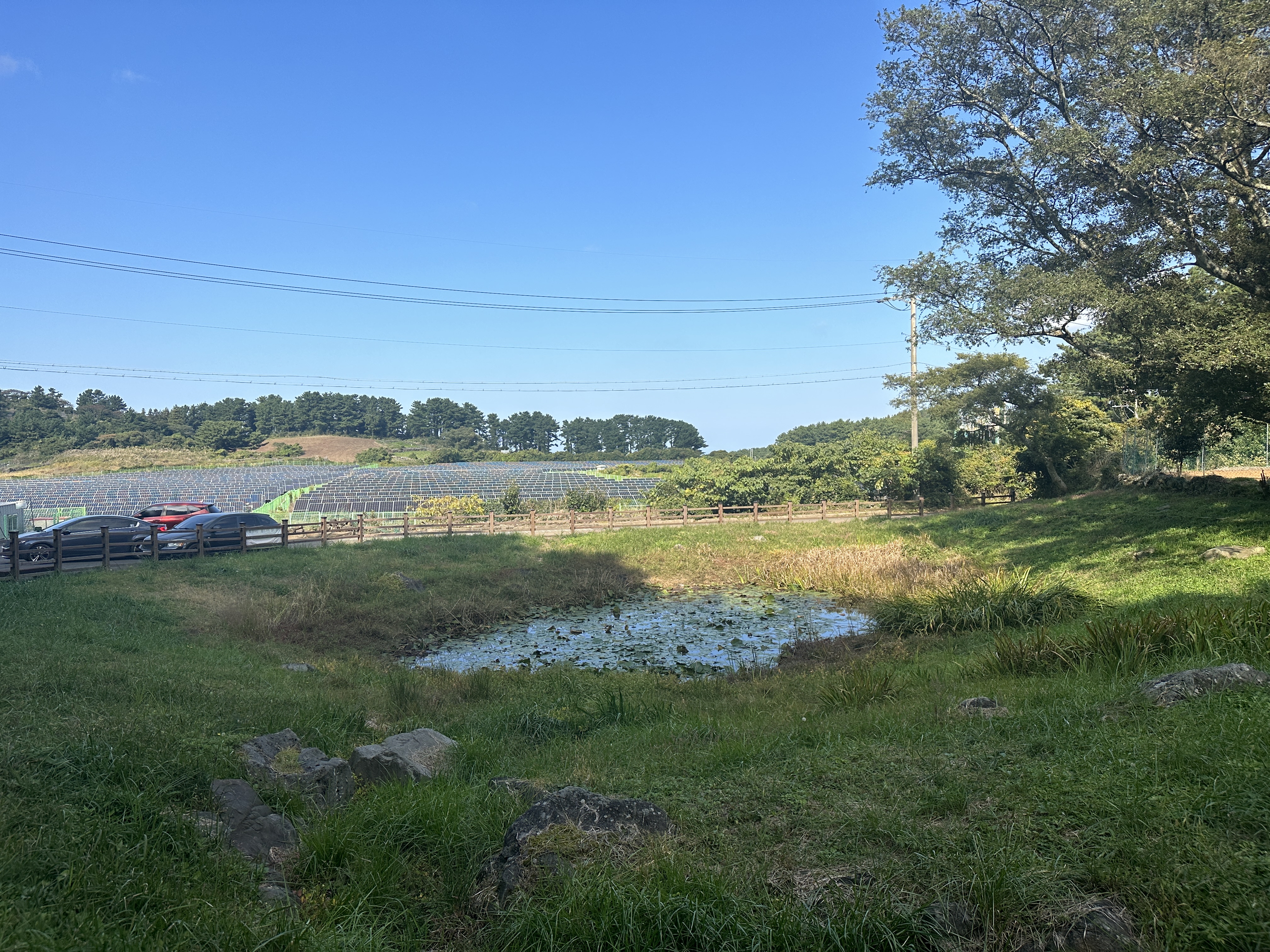 안세미오름 입구