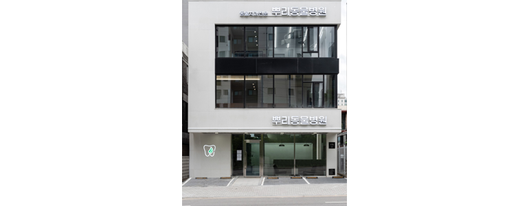 수원 팔달구 동물병원