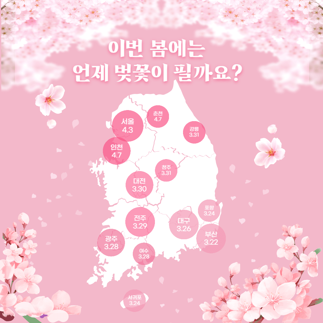 2024 벚꽃 개화시기
