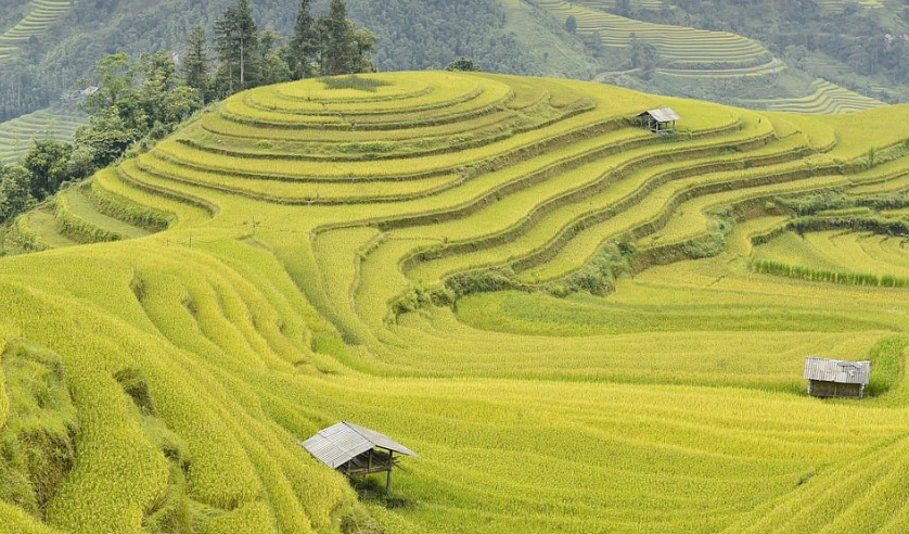 베트남 여행 사진