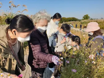 서울억새축제