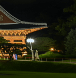 밤의산책