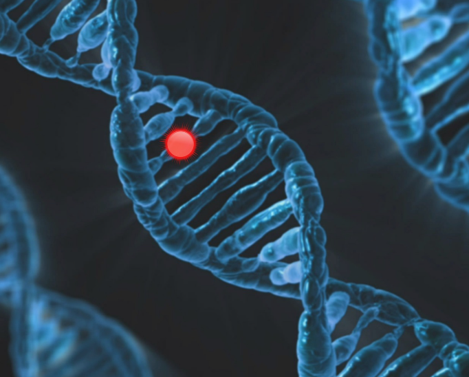 성인간호학 심혈관 질환의 유전적 요인, 고혈압과 유전적 요인, 고지혈증과 유전적 요인, 당뇨병과 유전적 요인