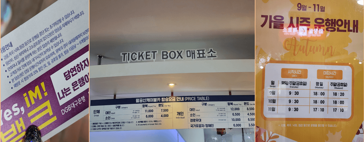 팔공산 케이블카 운행시간&middot;요금(할인)&middot;예약, 근처 맛집