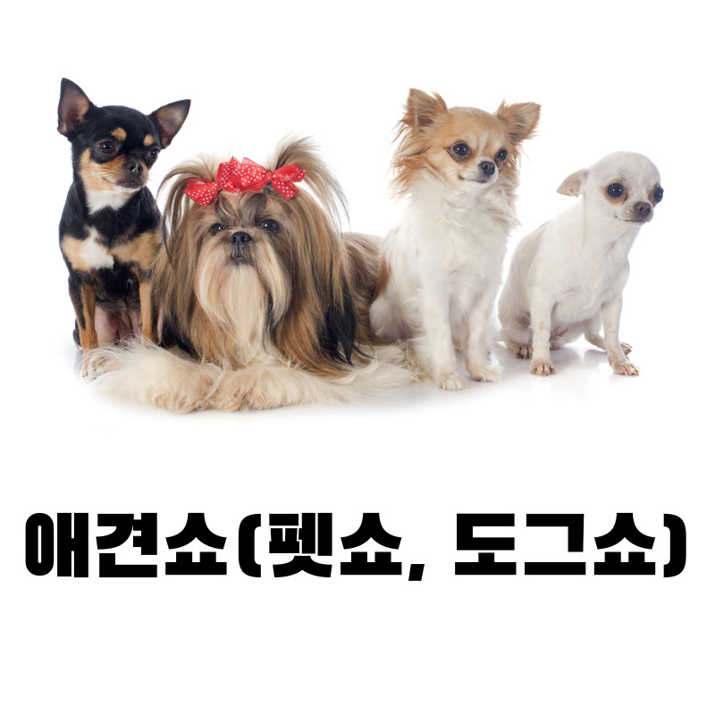 애견쇼(펫쇼, 도그쇼)