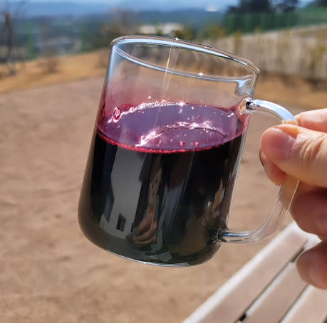 울산 오디 미니농원 울산광역시 뽕나무 오디 따기 체험 정보 6시 내고향 6월 4일 방송