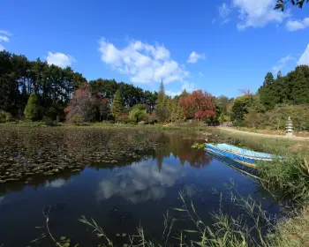 천리포수목원_7