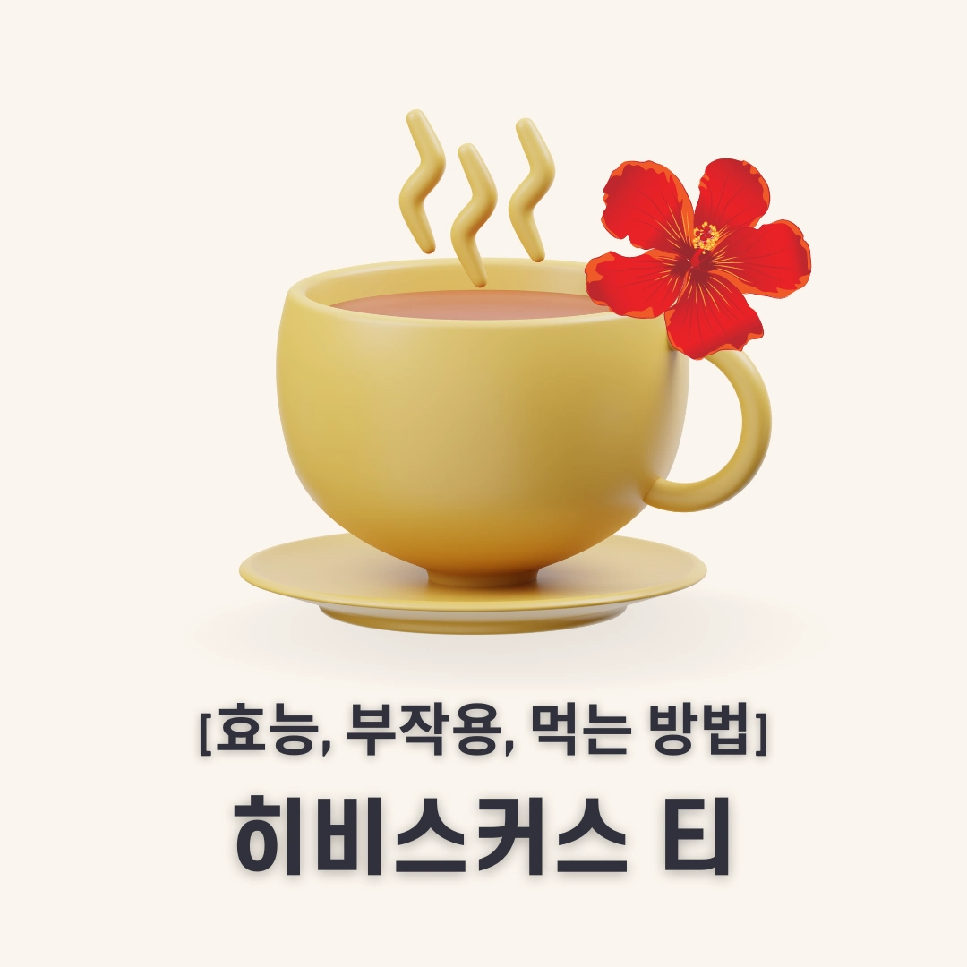 히비스커스 티