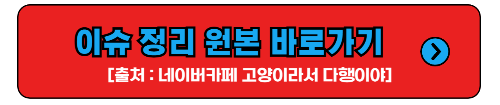 이슈정리네이버블로그