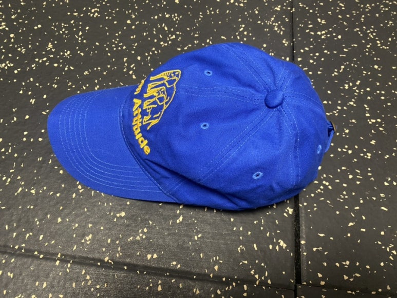 오픈 에티튜드ELEPHANT BALL CAP-BULE(엘리펀트 볼캡-블루)