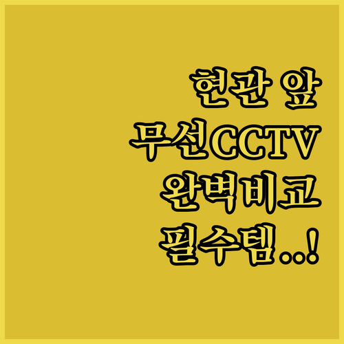 아파트 현관문 앞 무선 CCTV 종류..