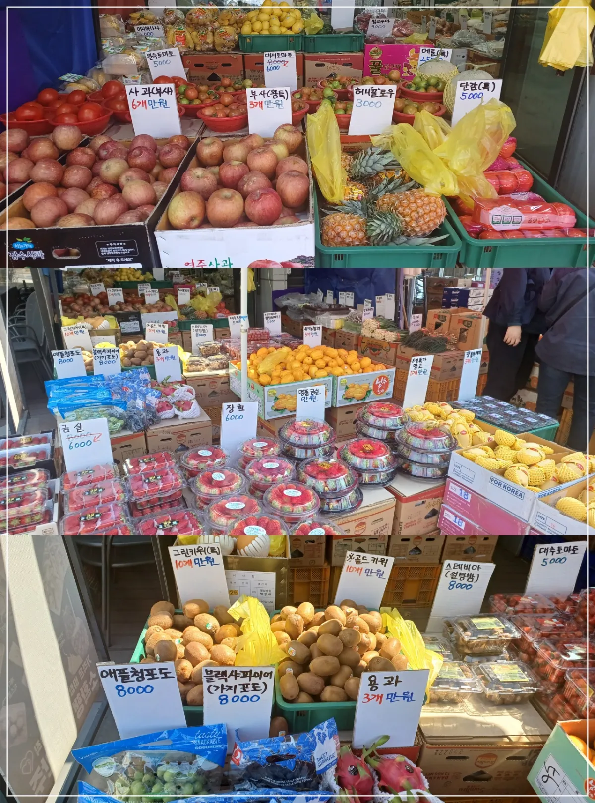 청개구리청과-과일