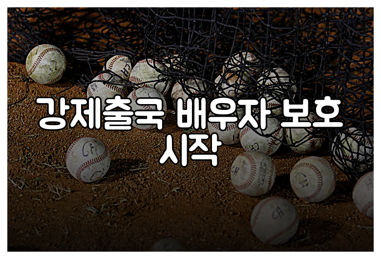 강제출국 배우자 보호 시작