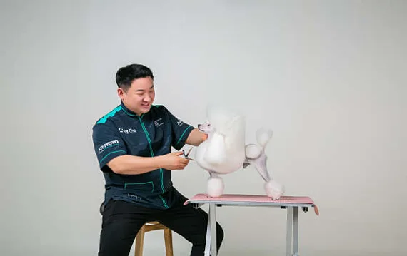 일산애견미용학원