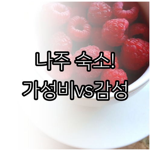 나주 숙소 추천 가성비 비즈니스 호텔..