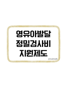 영유아발달정밀검사비 지원제도 보건소