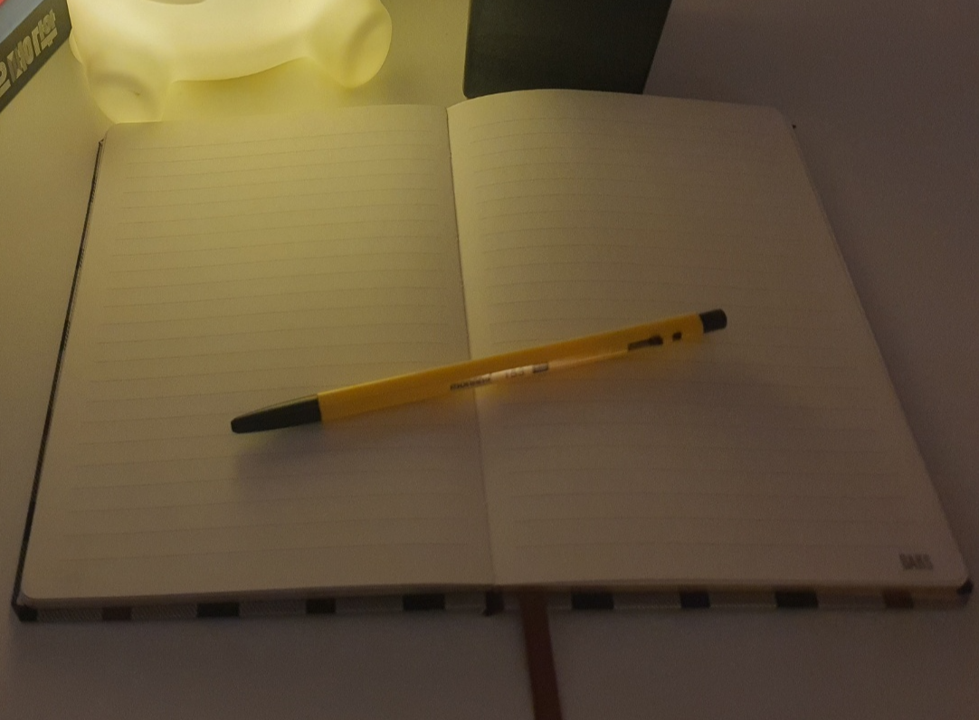 블로그를 꾸준히 운영하며 하루 한 편 글쓰기를 실천하는 기록 공간 모습