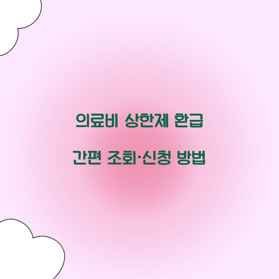 의료비 상한제 환급