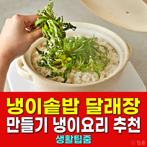 냉이솥밥 달래장 만들기 냉이요리 추천