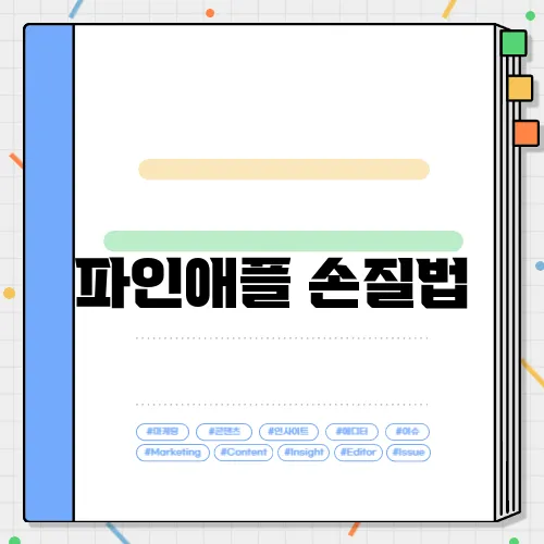 파인애플 손질법