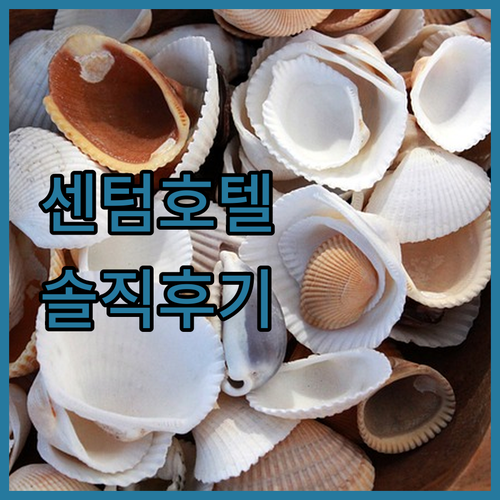센텀 프리미어 호텔 완전 분석! 벡스