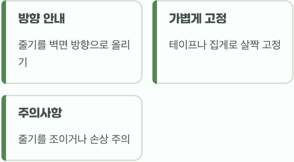 둘째, 벽을 타기 위한 첫걸음, 유도하기