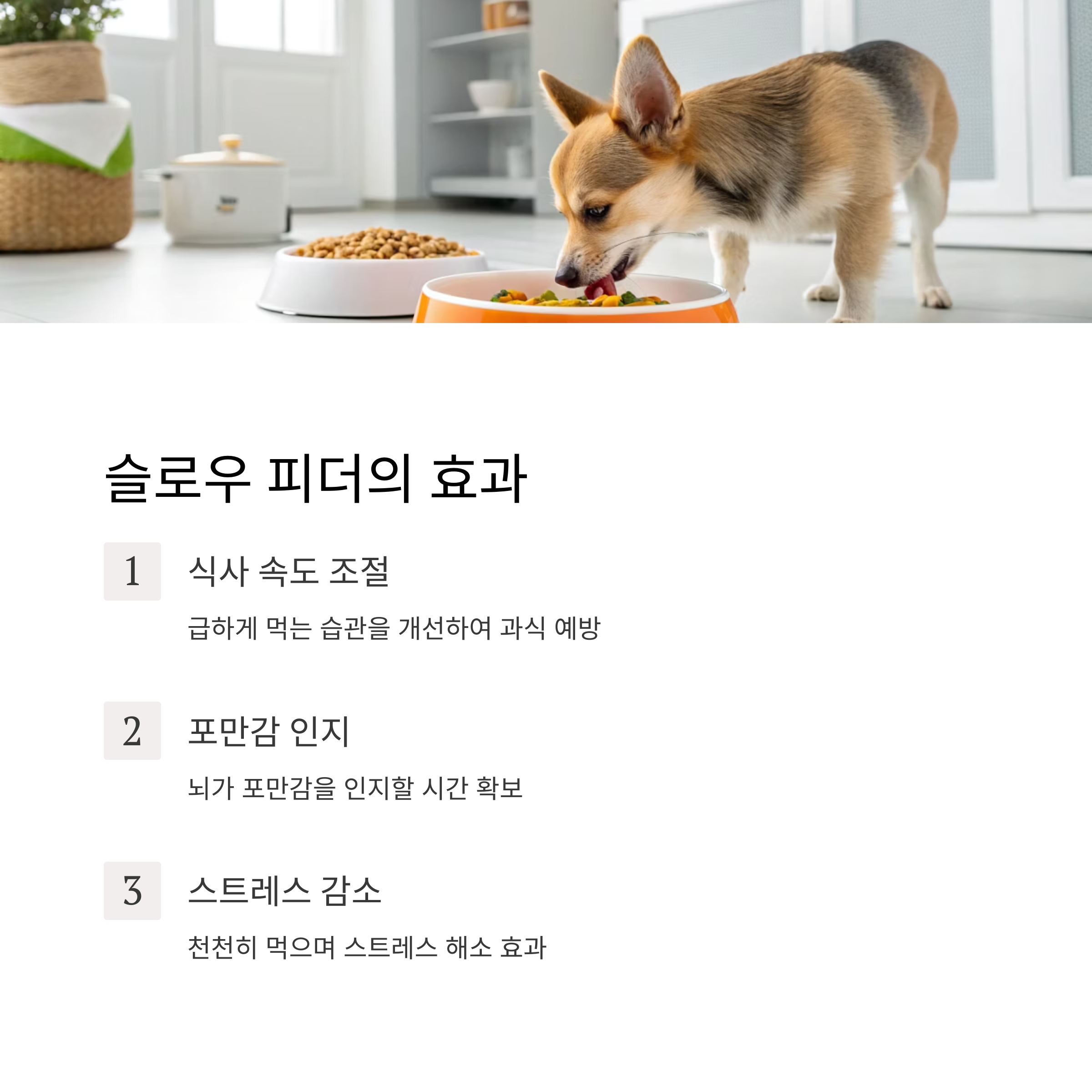 슬로우 피더의 효과