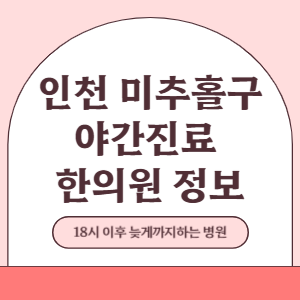 인천 미추홀구 토요일 일요일 한의원 진료 병원 리스트