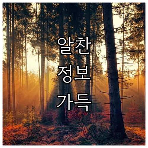 마포구 중동 대형폐기물 처리 절차 한..