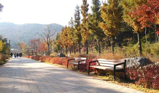 보령무궁화수목원