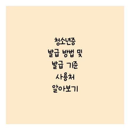 청소년증 발급 방법 및 발급 기준 사용처 알아보기