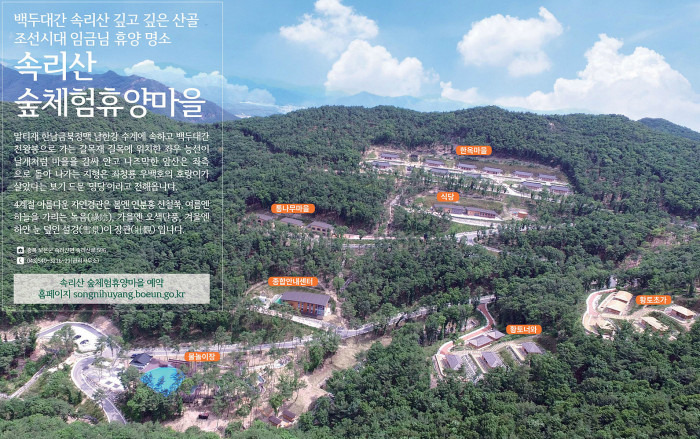 보은 가볼만한곳 베스트10