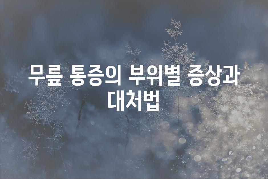 샘플 (47)