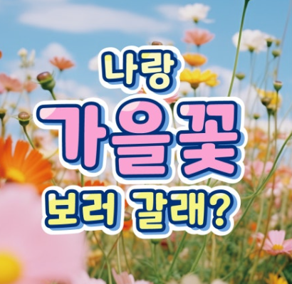 2024 화순 고인돌 가을꽃 축제정보 입장권 주차장