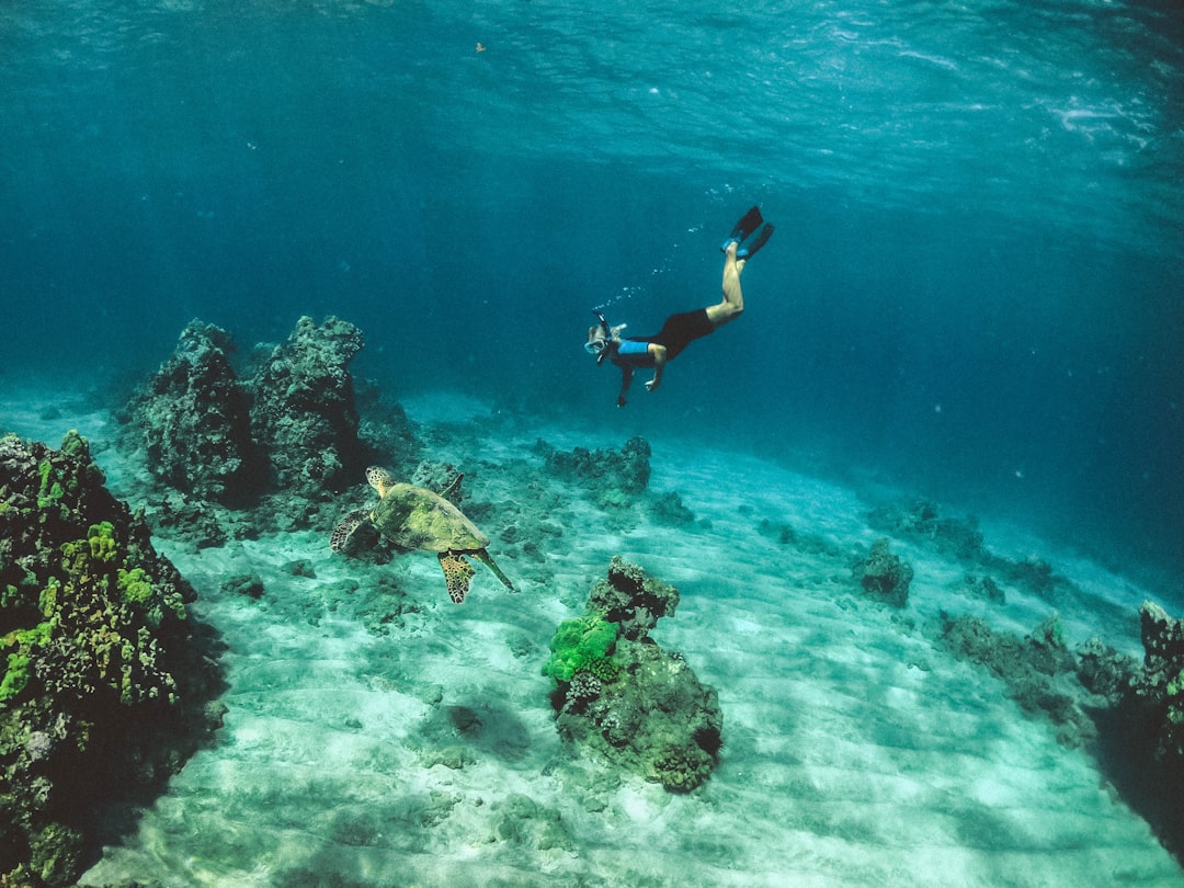 Diving