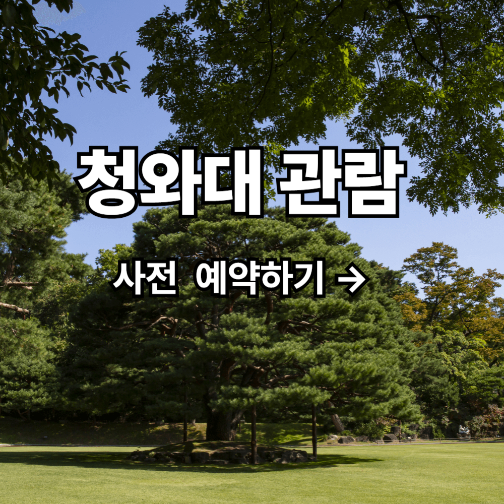 청와대 관람 코스 사전 예약 주차까지 한 번에 알아보기